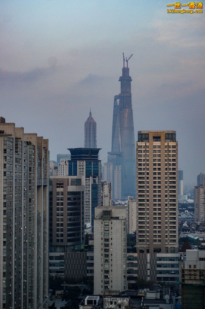 20131127-20131127-_DSC1902.jpg