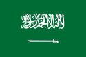 沙特阿拉伯.png