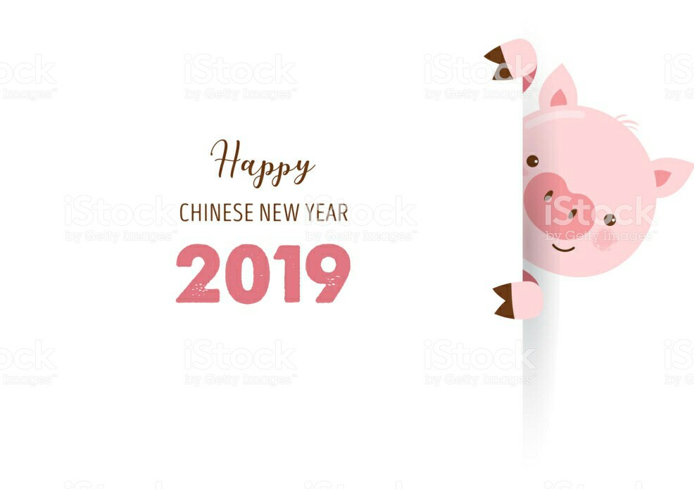 happy-chinese-new-year-2019-the-year-of-pig-vector-banner-background-vector-id10.jpg
