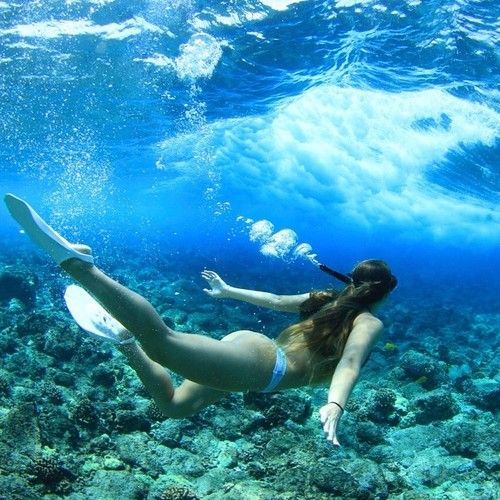 77-best-gopro-diving-images-on-pinterest-gopro-underwater-tips.jpg