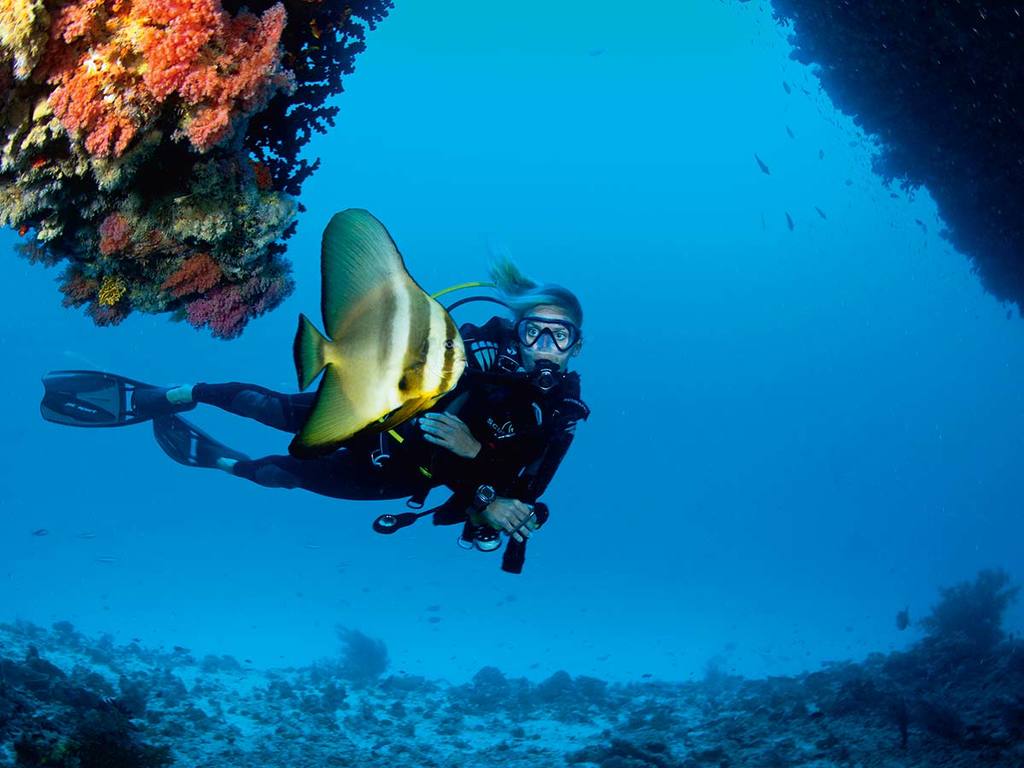 Diving-Velaa-Private-Island.jpg