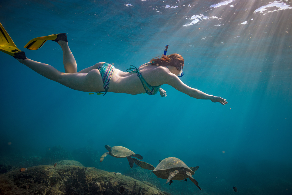 girl-snorkel-turtles.jpg
