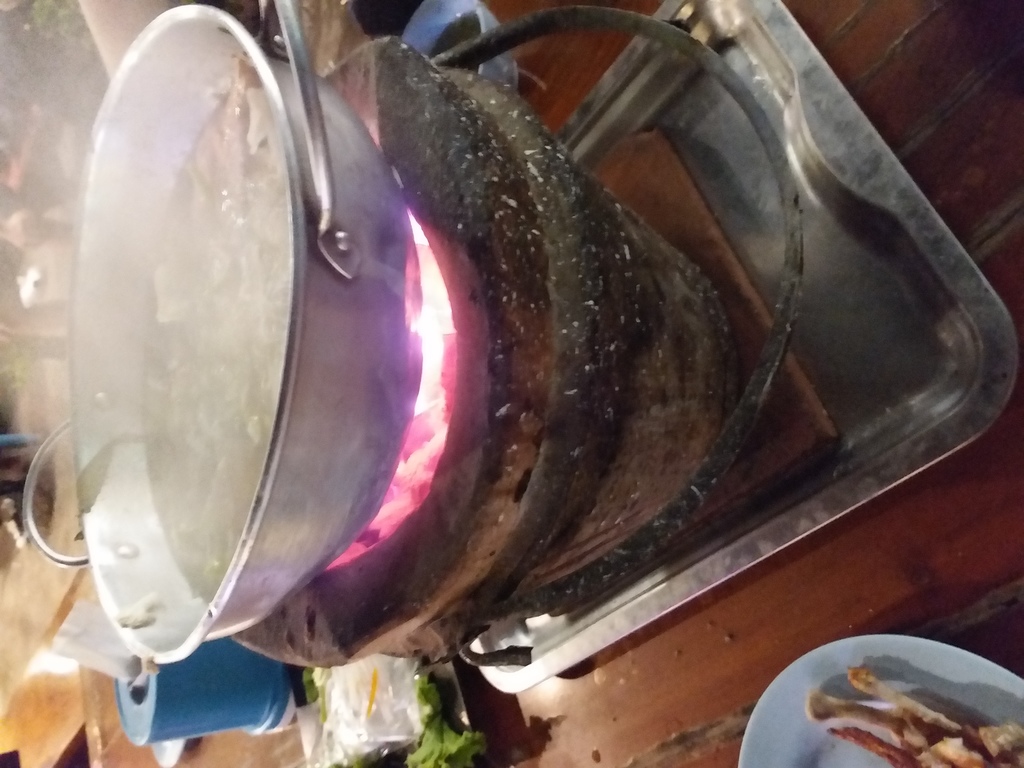 20190701_035956.jpg