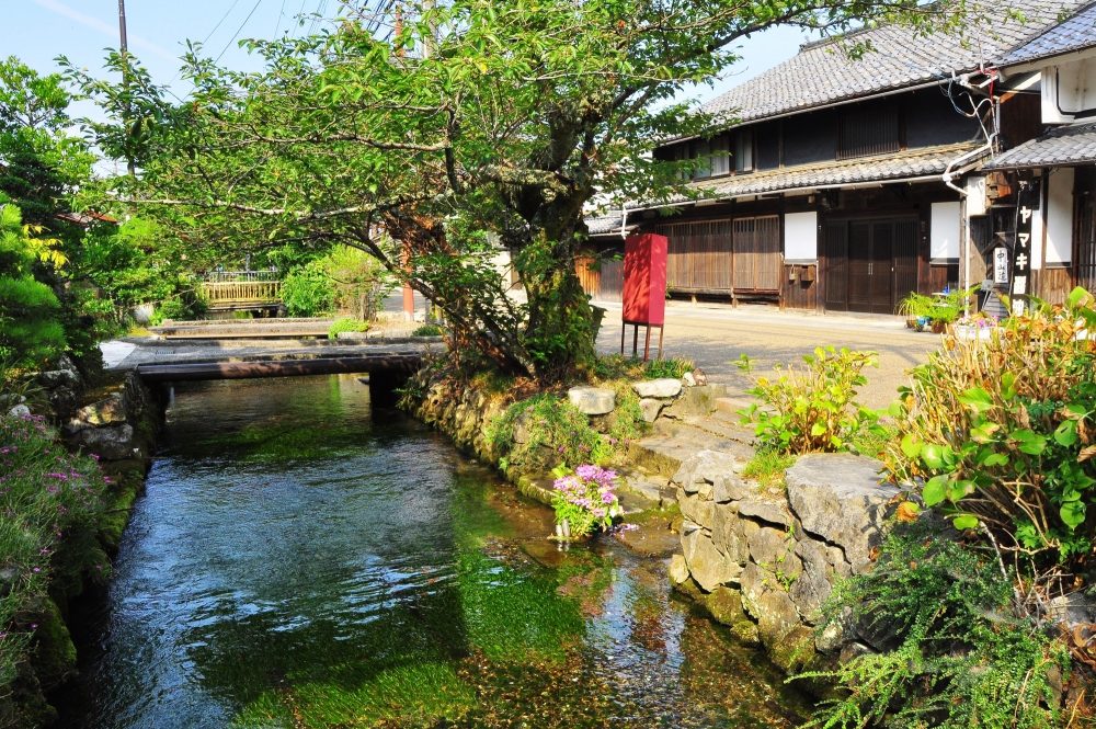 Samegai-juku-view.jpg