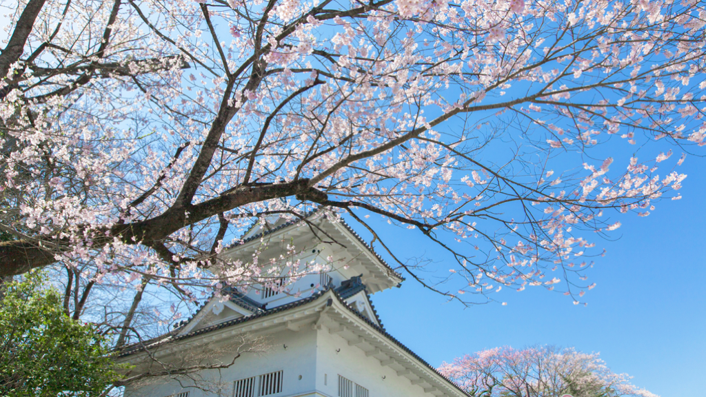 20200209_Sendai_Castle_2-1024x576.png