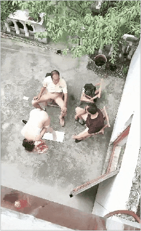 22153091.gif