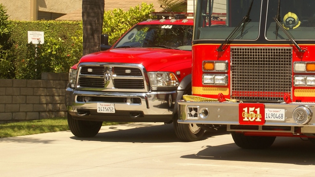 IMG LAFD151.jpg