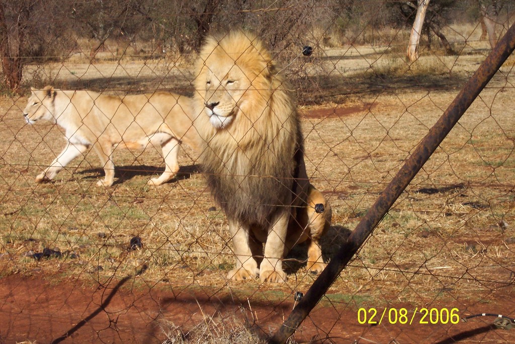 S. Africa_0413.JPG