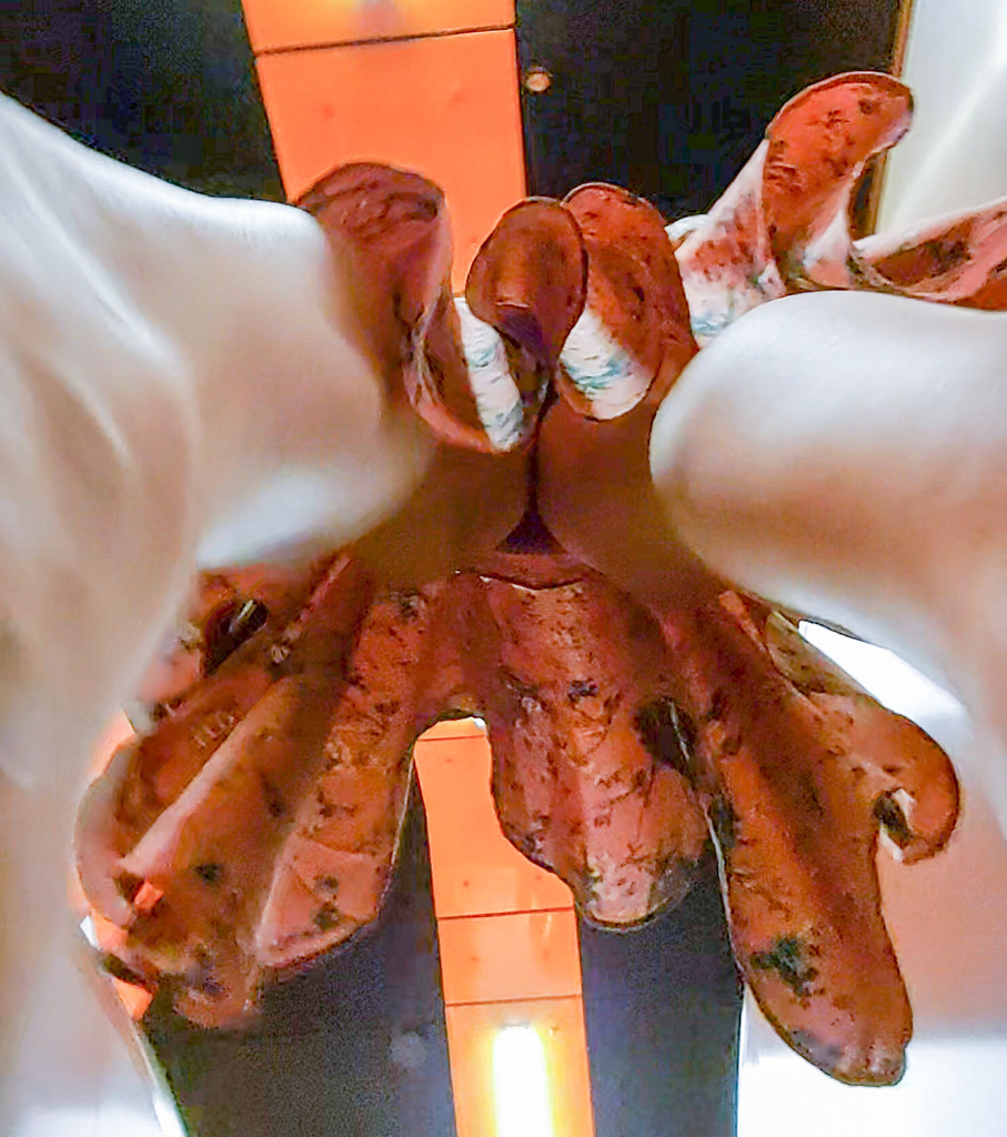 2021-04-13_214730_06.jpg
