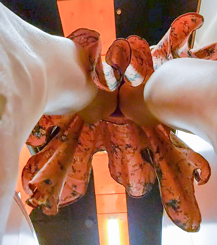 2021-04-13_214739_08.jpg
