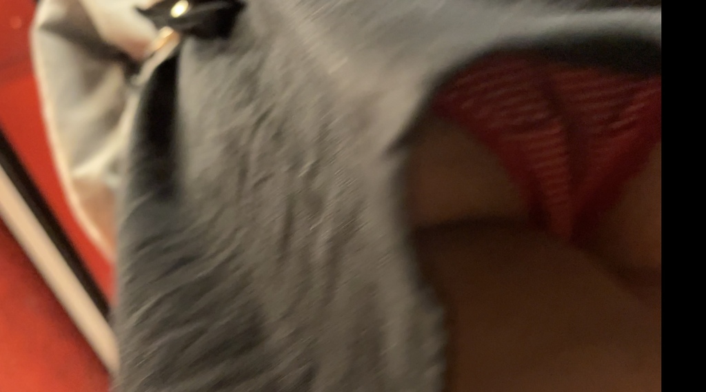 6609D303-358D-49F4-BF19-A74D8E3A52FD.jpeg