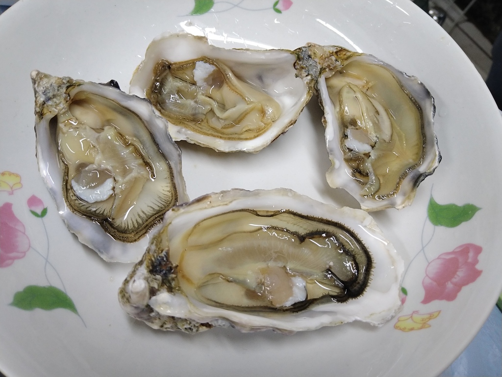 DSC_1771.JPG