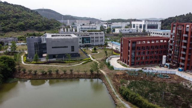 武漢病毒研究所   Wuhan Institute of Virology (WIV).jpg