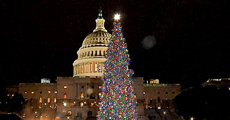 美國  國會山莊  西草坪聖誕樹的燈飾.jpg