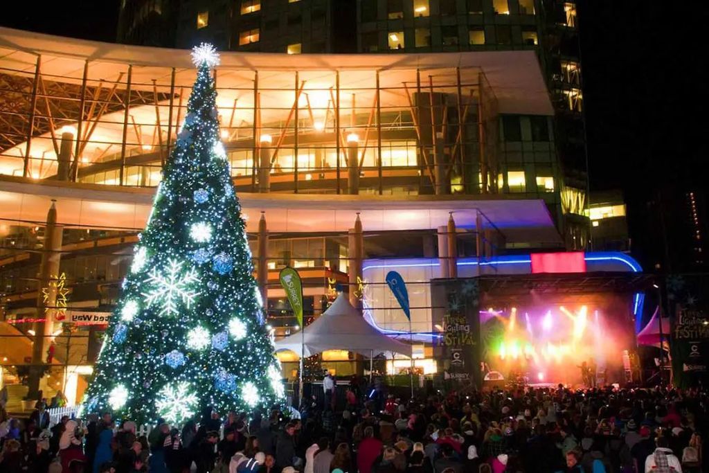 溫哥華  聖誕樹亮燈.jpg