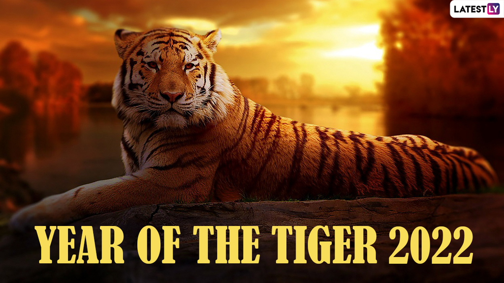 Year-of-the-Tiger-2022.jpg