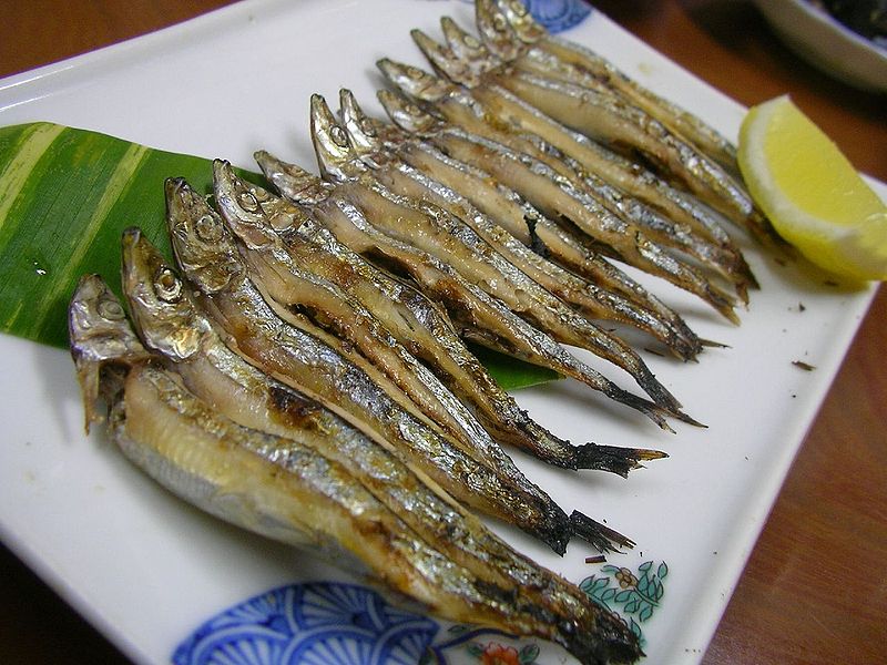 丁香魚.jpg