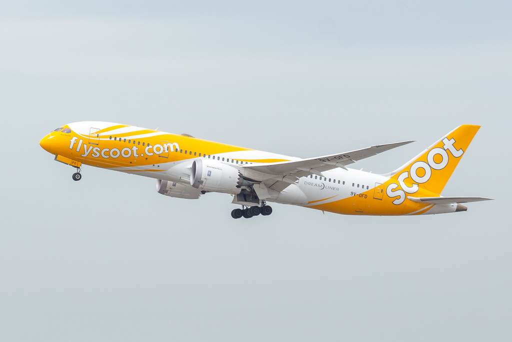 SCOOT_787-8_9V-OFD.jpg