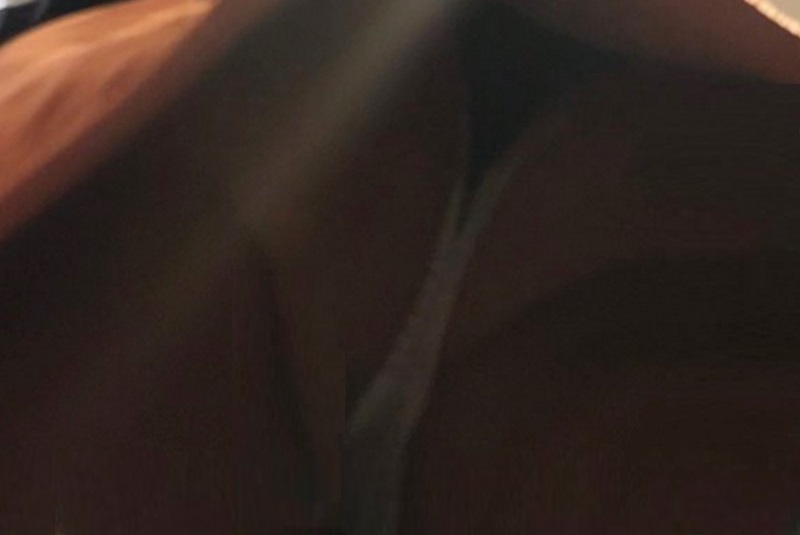 2555.jpg