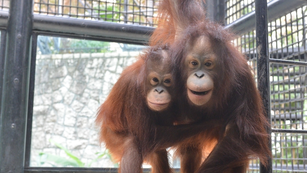 動植物公園10.jpg