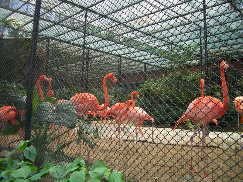 動植物公園2.jpg