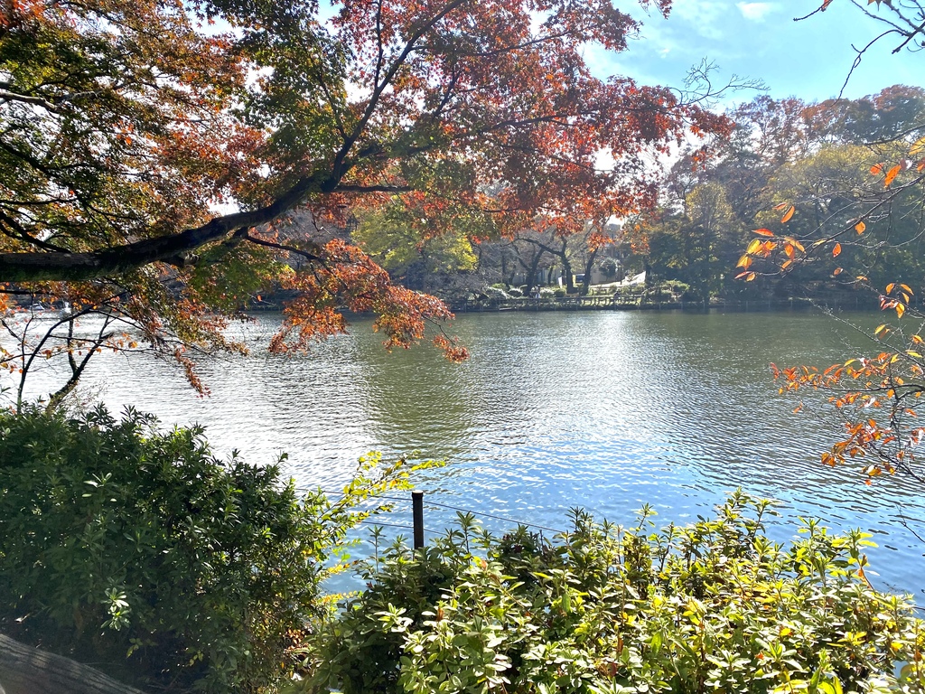 望著靚景，身曠神怡