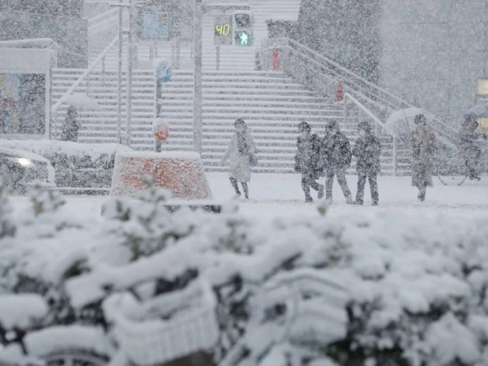 名古屋迎來入冬第一場雪，並罕見地在觀測到初雪的同時也出現積雪。.jpg.jpg