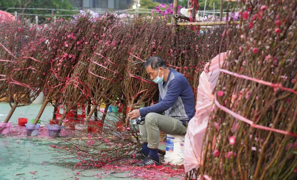 4 不少花農都表示銷情慘淡，唯有割價止蝕。.jpg