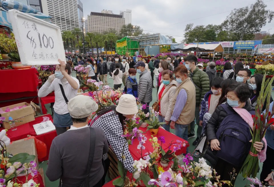 6 維園年宵蘭花檔傍晚起減價，蝴蝶蘭連花盆「100元任揀」。.jpg