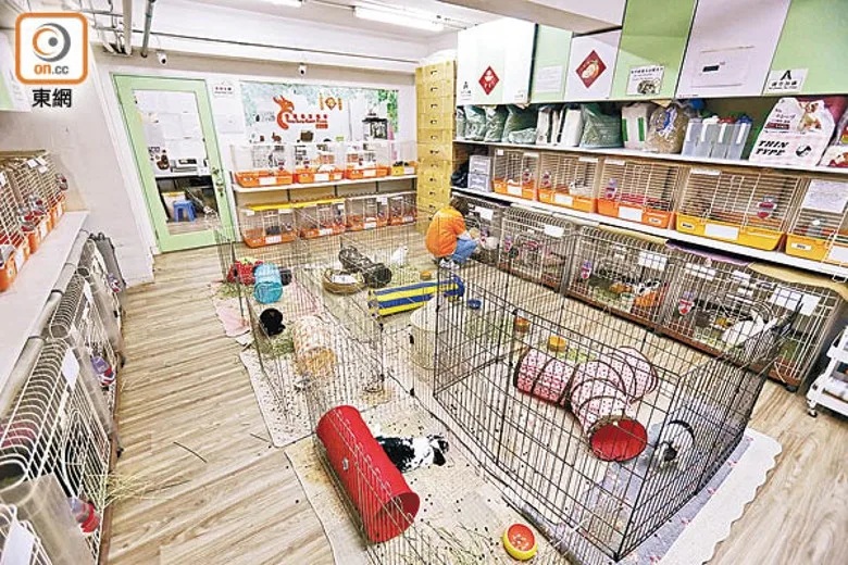 1 兔籠排列在兔協的領養室，地上有4個大圍欄的活動空間。.jpg