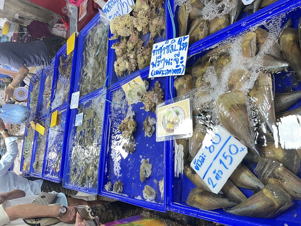 7B360419-EEA5-4109-889D-85E076697622.jpeg