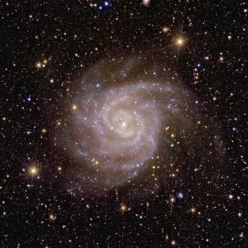 螺旋星系 IC 342.jpg