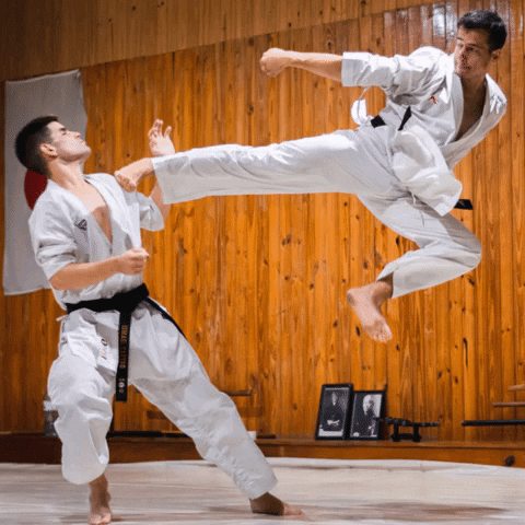 Karate kick 3 - Copy.gif