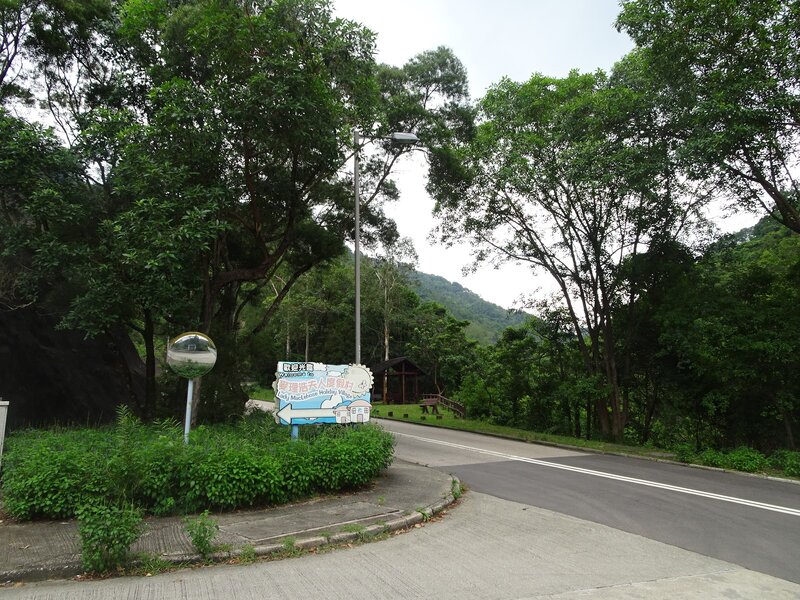 荔枝角公園8.JPG