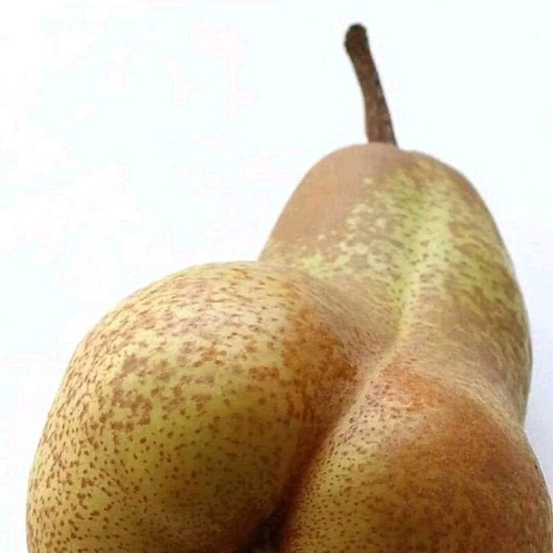 Pear - Copy.jpg