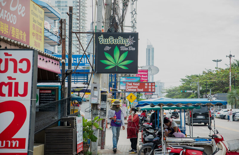 Cannabis-Legalization-Thailand-1536x1000-1.jpg