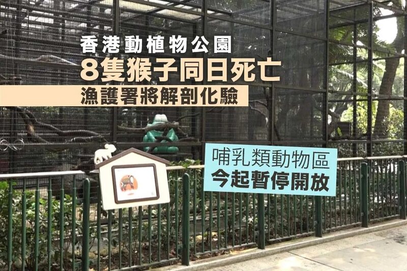 香港動植物公園8動物死亡 當局將解剖化驗屍體了解死因.jpg