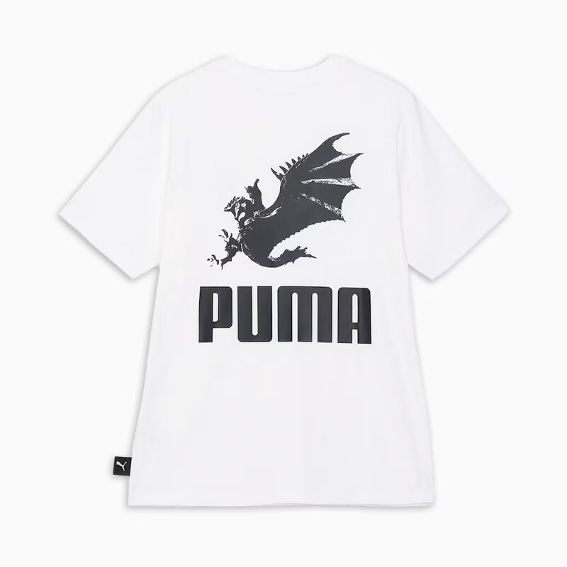 PUMA22.jpg