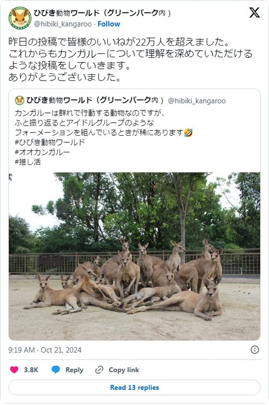 日本動物園周不時都會發布一些可愛動物照，近期就有張「袋鼠界男團」照片發布出來引起熱話。.jpg