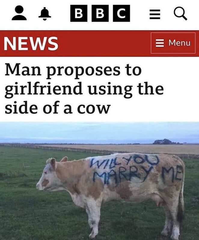 Will You Marry Me...Holly Cow.jpg