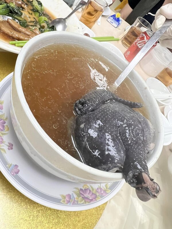 2烏雞燉三蛇湯.jpg