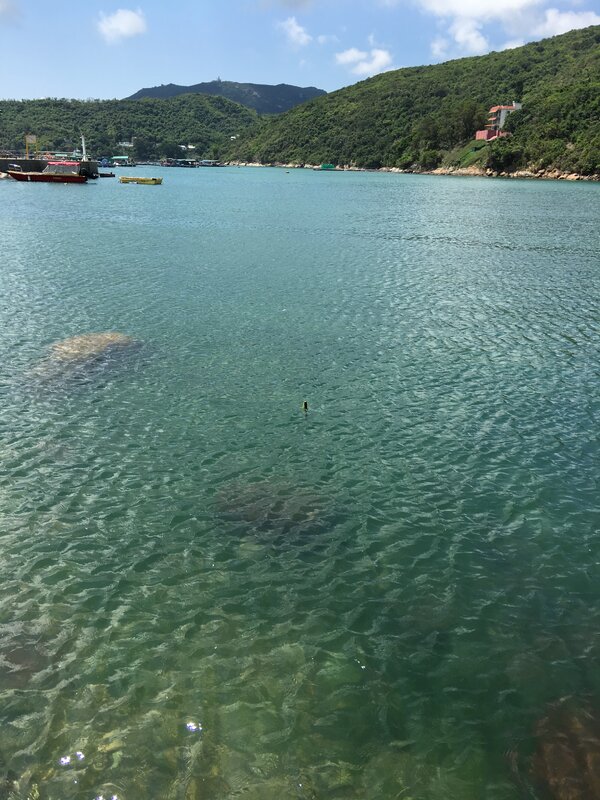 20180517_104917_IMG_1312.JPG