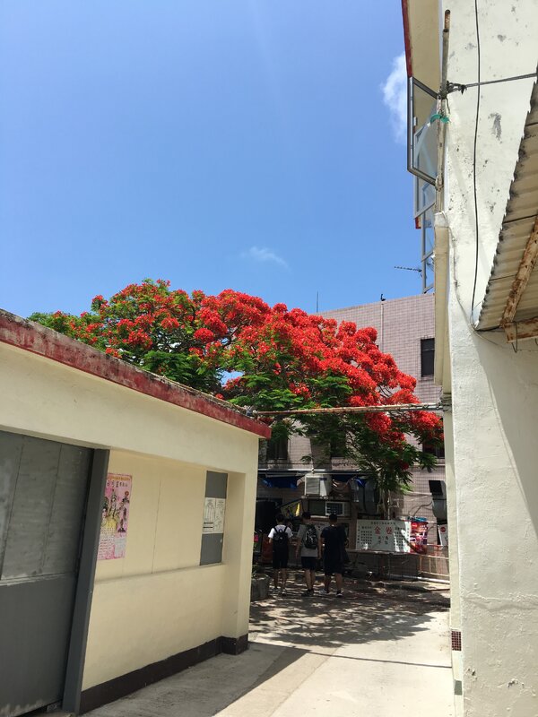 20180517_131610_IMG_1354.JPG