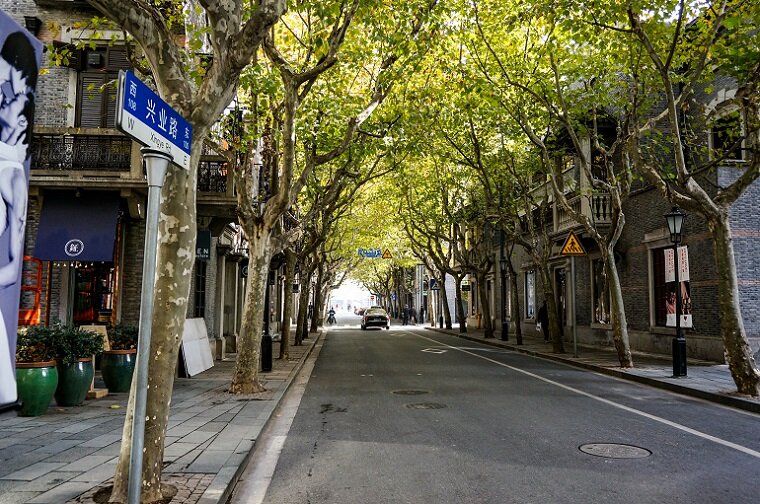 20131126-_DSC1783.jpg