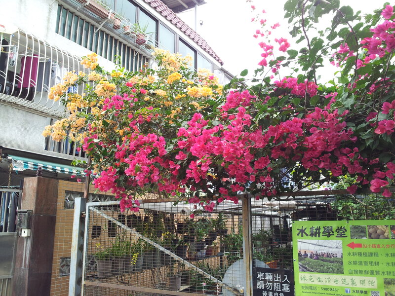20141127_094536.jpg