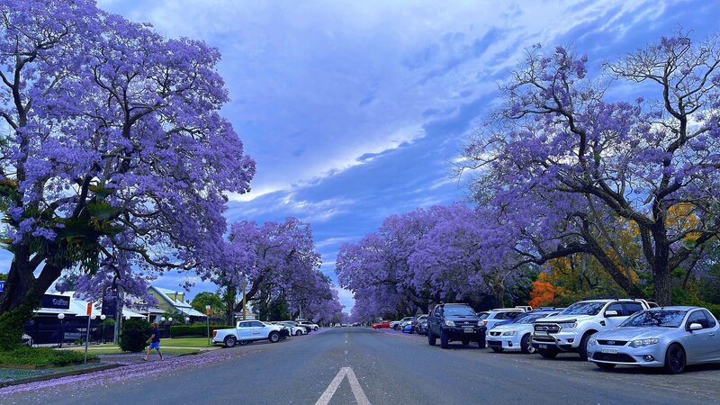 Sydney, NSW, Australia  -  114.jpg