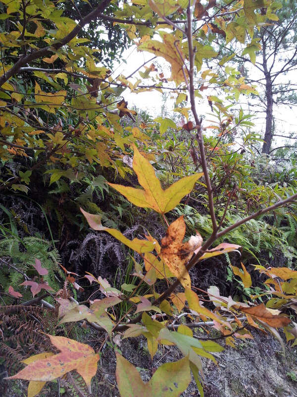 20141127_105718.jpg