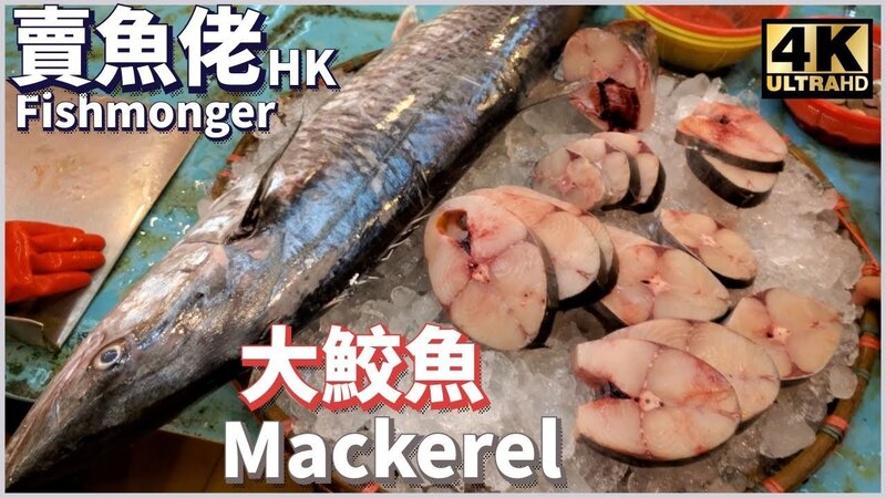 鮫魚.jpg