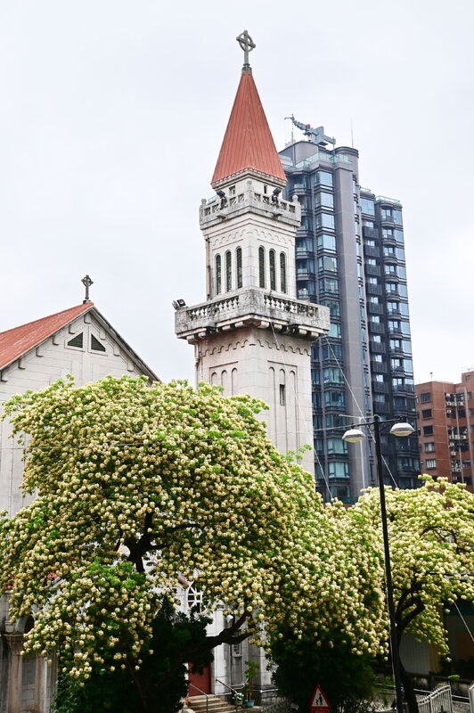 20250418A011.JPG