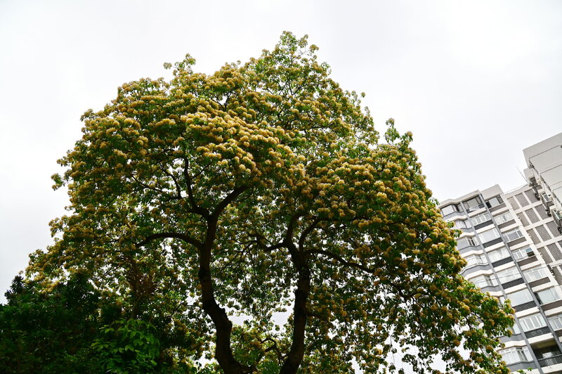 20250418A015.JPG